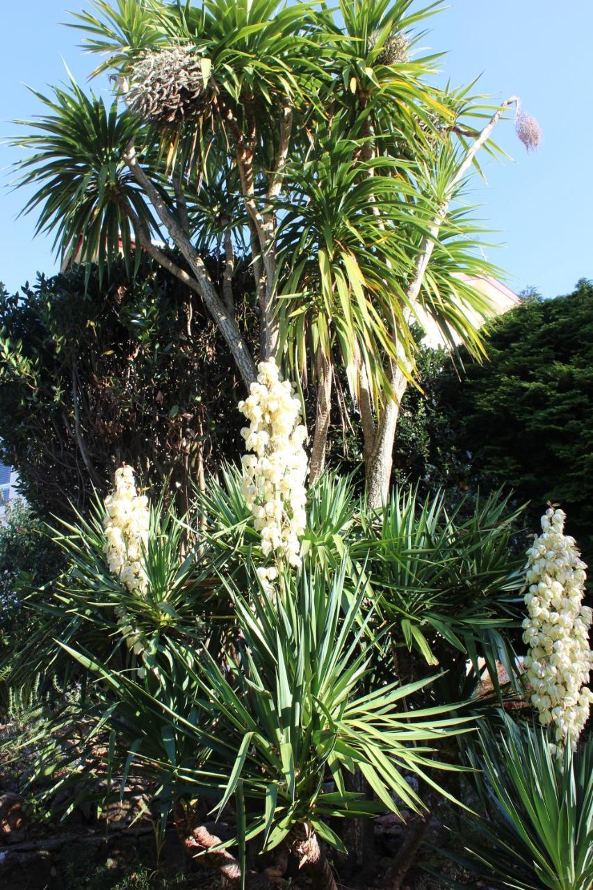 Trafalgar House Torquay Dış mekan fotoğraf